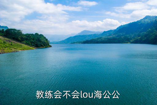 教练会不会lou海公公