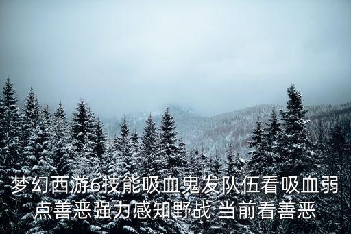 梦幻西游6技能吸血鬼发队伍看吸血弱点善恶强力感知野战 当前看善恶