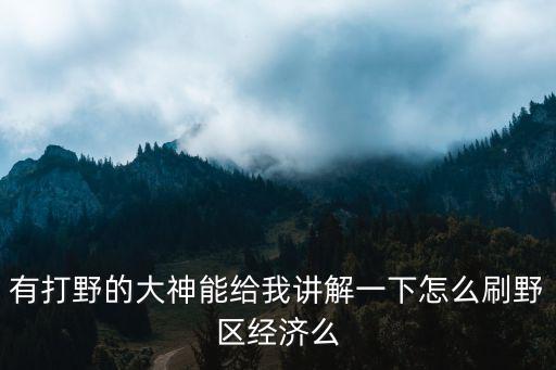 有打野的大神能给我讲解一下怎么刷野区经济么