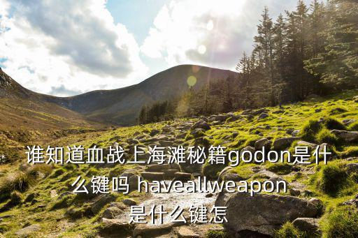 谁知道血战上海滩秘籍godon是什么键吗 haveallweapon是什么键怎