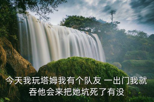 今天我玩塔姆我有个队友 一出门我就吞他会来把她坑死了有没