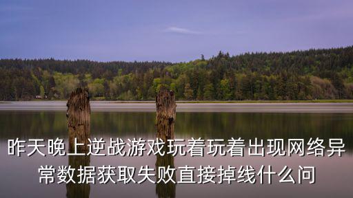 昨天晚上逆战游戏玩着玩着出现网络异常数据获取失败直接掉线什么问