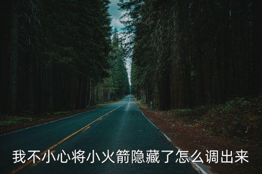 我不小心将小火箭隐藏了怎么调出来