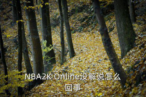 NBA2K Online没解说怎么回事