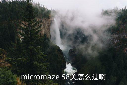 micromaze 58关怎么过啊