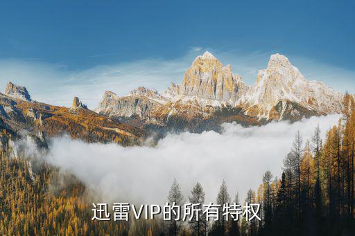 迅雷VIP的所有特权