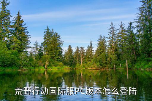 荒野行动国际服PC版本怎么登陆