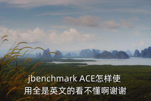 jbenchmark ACE怎样使用全是英文的看不懂啊谢谢