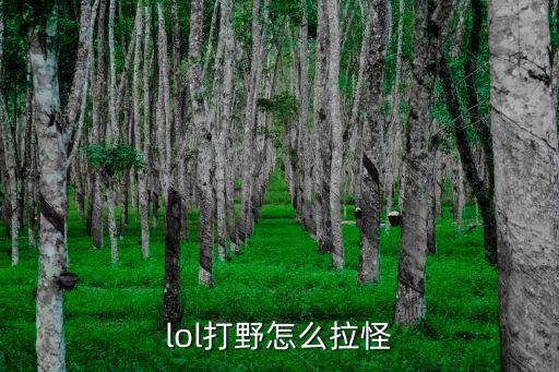 lol打野怎么拉怪