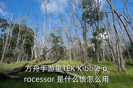 方舟手游怎么获得泰克翼龙，方舟手游里TEK Kibble processor 是什么该怎么用