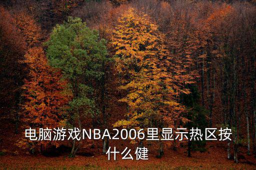 电脑游戏NBA2006里显示热区按什么健