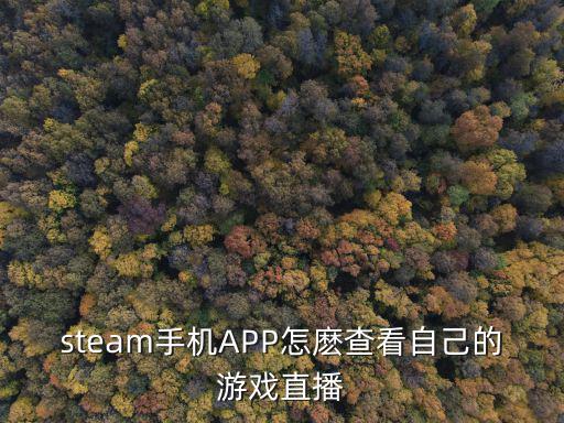 steam手机APP怎麽查看自己的游戏直播