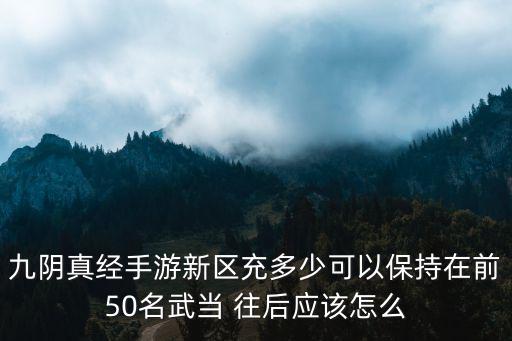 九阴真经手游新区充多少可以保持在前50名武当 往后应该怎么