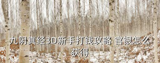 九阴真经3D新手打钱攻略 官银怎么获得