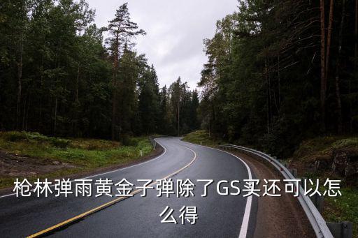 枪林弹雨黄金子弹除了GS买还可以怎么得