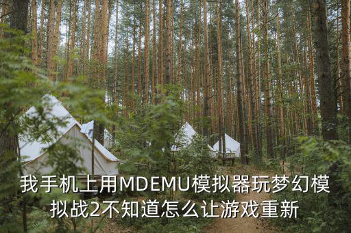 我手机上用MDEMU模拟器玩梦幻模拟战2不知道怎么让游戏重新