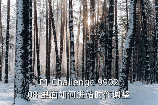 F1 Challenge 990208 里面如何进站时作调整