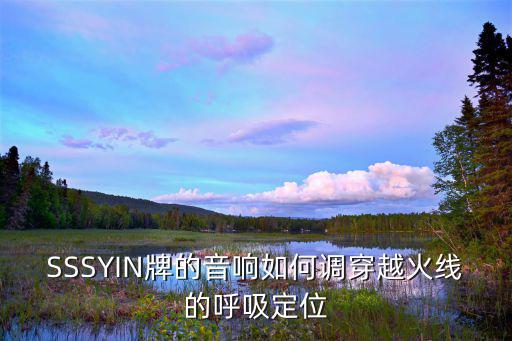 SSSYIN牌的音响如何调穿越火线的呼吸定位