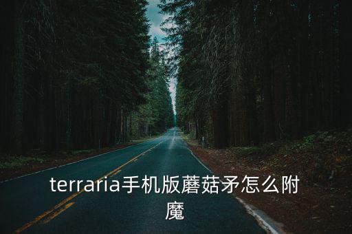 terraria手机版蘑菇矛怎么附魔