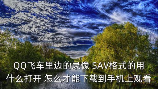 QQ飞车里边的录像 SAV格式的用什么打开 怎么才能下载到手机上观看