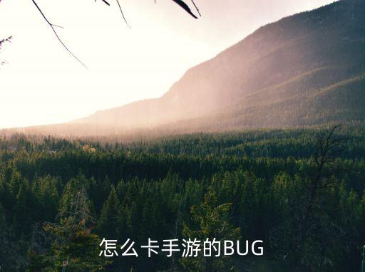 怎么卡手游的BUG