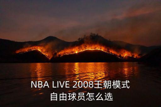 NBA LIVE 2008王朝模式 自由球员怎么选