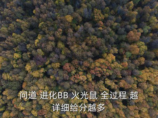 问道 进化BB 火光鼠 全过程 越详细给分越多