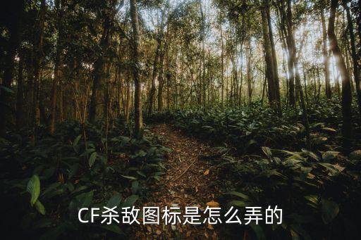 CF杀敌图标是怎么弄的