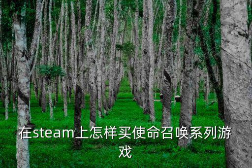 在steam上怎样买使命召唤系列游戏