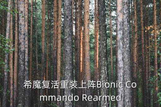 希魔复活重装上阵Bionic Commando Rearmed