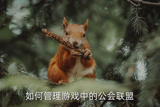 如何管理游戏中的公会联盟