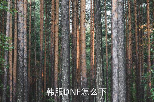 dnf手游苹果怎么下韩服，韩服DNF怎么下