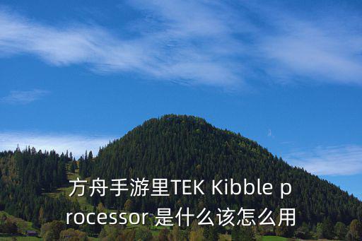 方舟手游里TEK Kibble processor 是什么该怎么用