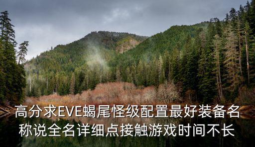 高分求EVE蝎尾怪级配置最好装备名称说全名详细点接触游戏时间不长