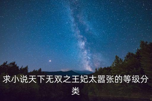 求小说天下无双之王妃太嚣张的等级分类