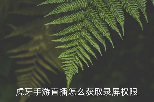 虎牙手游直播怎么获取录屏权限