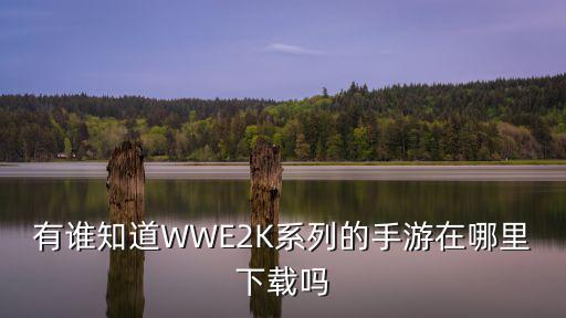 有谁知道WWE2K系列的手游在哪里下载吗