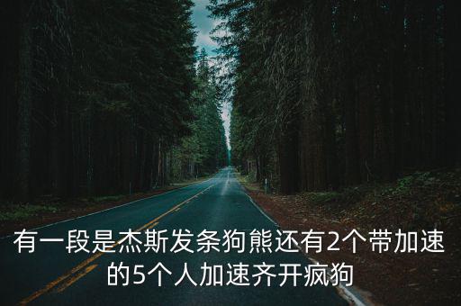 有一段是杰斯发条狗熊还有2个带加速的5个人加速齐开疯狗