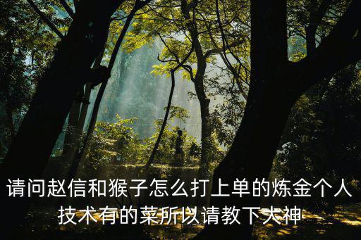 请问赵信和猴子怎么打上单的炼金个人技术有的菜所以请教下大神