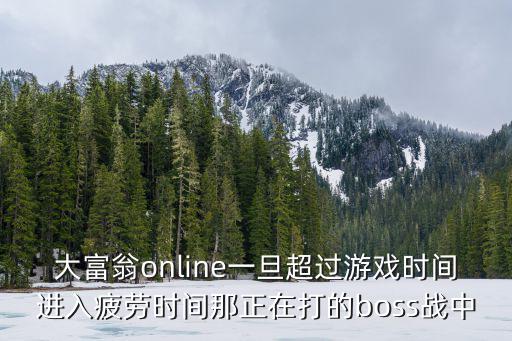 大富翁online一旦超过游戏时间进入疲劳时间那正在打的boss战中