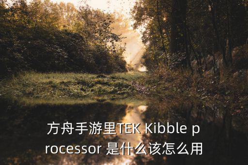 方舟手游里TEK Kibble processor 是什么该怎么用