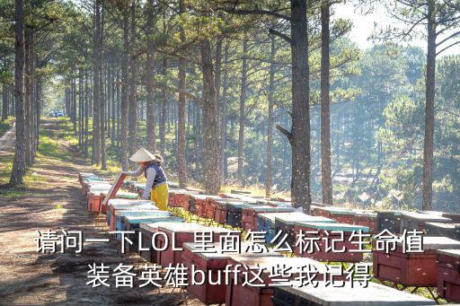 请问一下LOL 里面怎么标记生命值装备英雄buff这些我记得