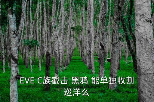 EVE C族截击 黑鸦 能单独收割巡洋么