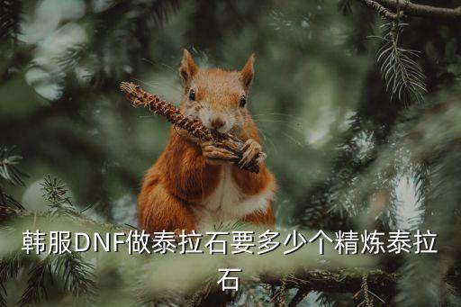 韩服DNF做泰拉石要多少个精炼泰拉石