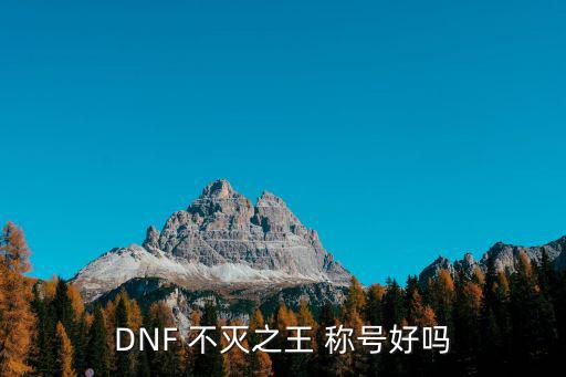 DNF 不灭之王 称号好吗