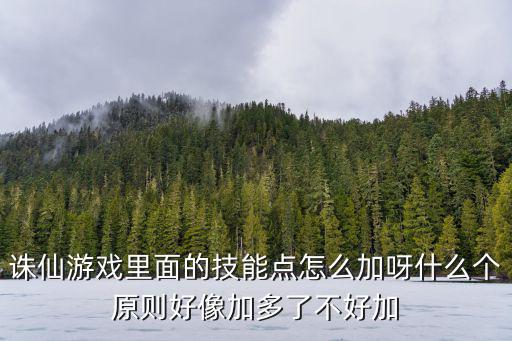 诛仙游戏里面的技能点怎么加呀什么个原则好像加多了不好加