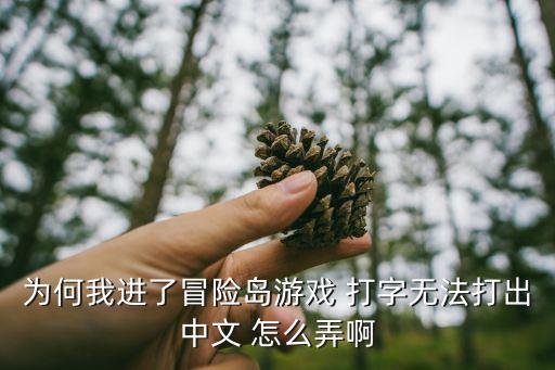 为何我进了冒险岛游戏 打字无法打出中文 怎么弄啊