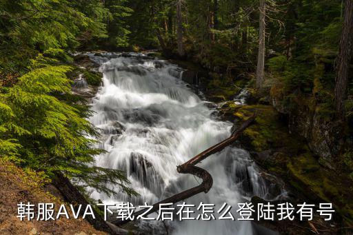 韩服AVA下载之后在怎么登陆我有号