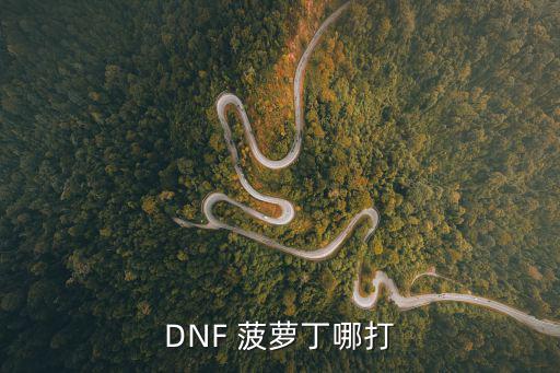 DNF 菠萝丁哪打