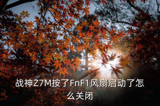 战神Z7M按了FnF1风扇启动了怎么关闭